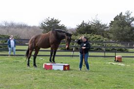 LR-WRF 0402026 Retreat-3377